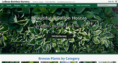 Desktop Screenshot of lebeaubamboo.com